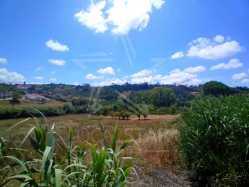 Terreno para Venda em Vidais