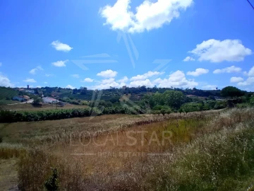 Terreno para Venda em Vidais