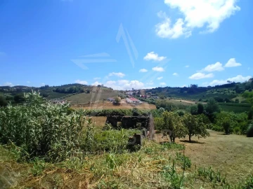 Terreno para Venda em Vidais