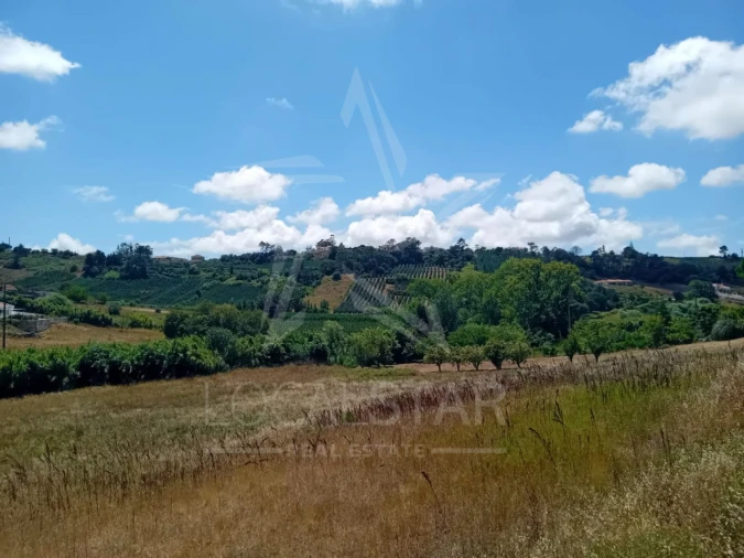 Terreno para Venda em Vidais Foto 7