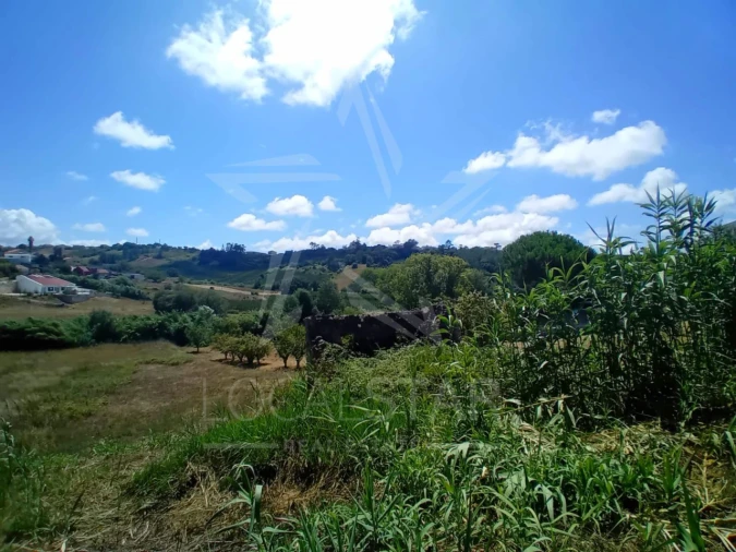 Terreno para Venda em Vidais Foto 13