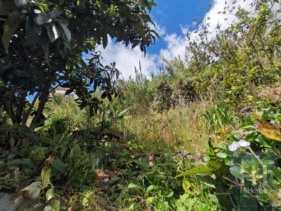 Terreno para Venda em São Roque Foto 10