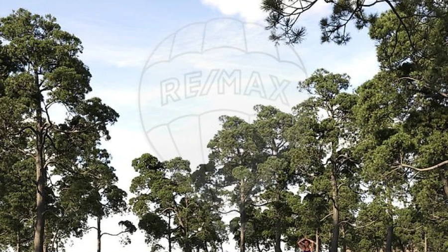 Moradia T3 para Venda em Quinta do Anjo