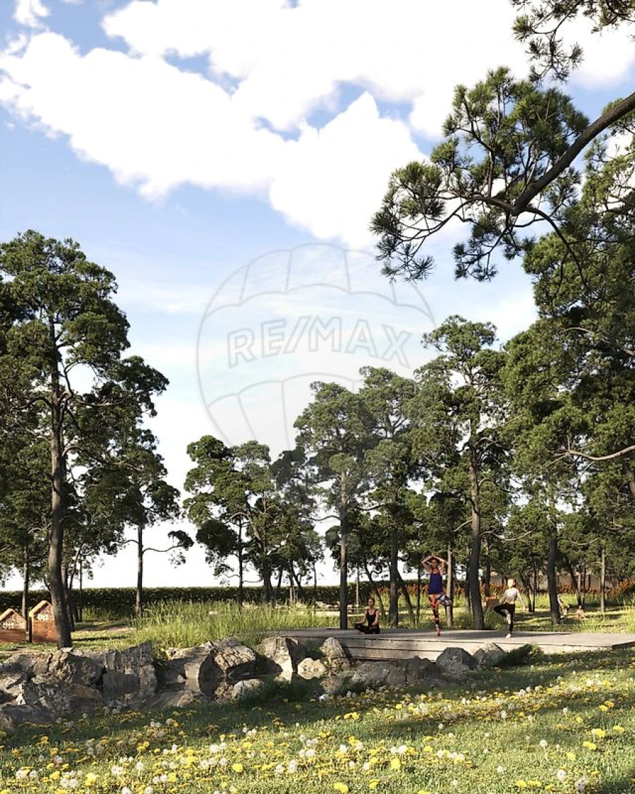 Moradia T3 para Venda em Quinta do Anjo Foto 43