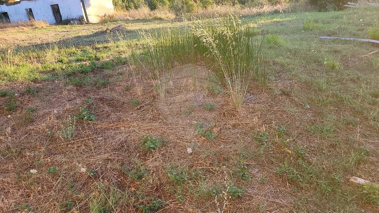 Terreno para Venda em São Facundo e Vale das Mós Foto 1