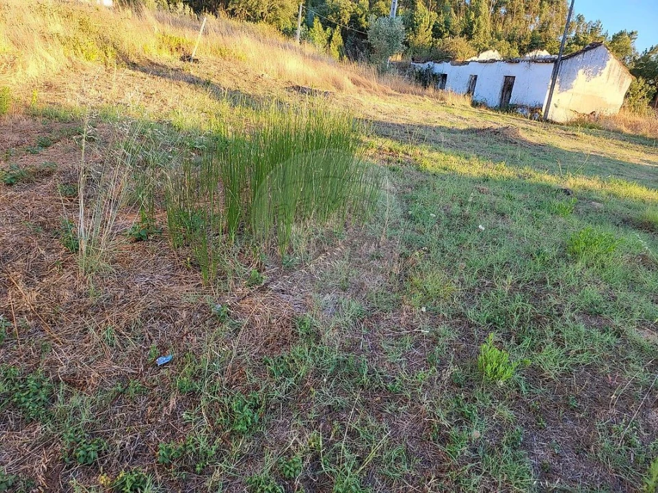 Terreno para Venda em São Facundo e Vale das Mós Foto 3