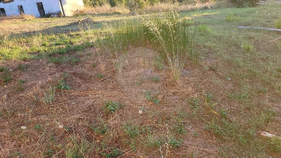 Terreno para Venda em São Facundo e Vale das Mós