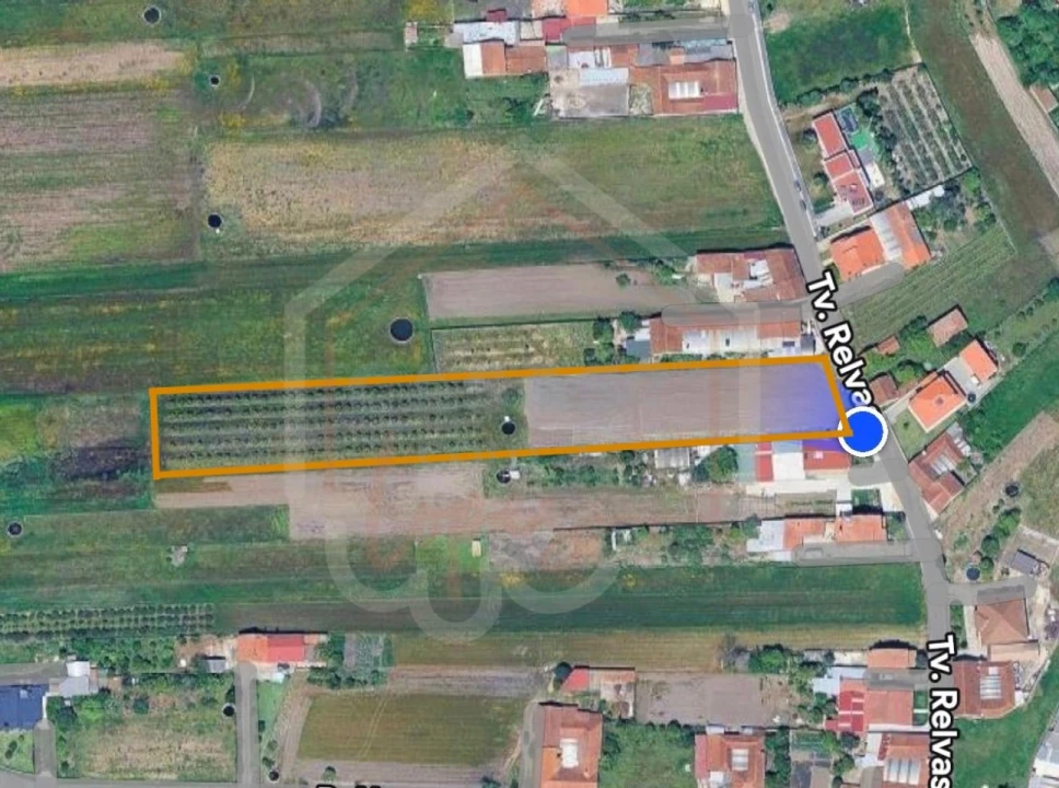 Terreno para Venda em Oiã Foto 1