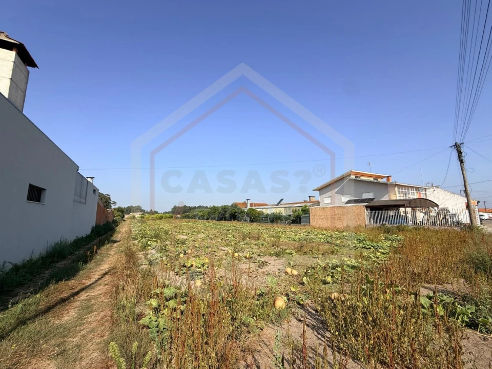 Terreno para Venda em Oiã Foto 4