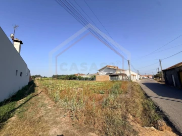 Terreno para Venda em Oiã