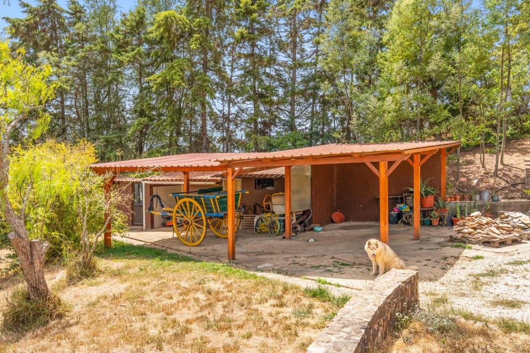 Moradia T5 para Venda em São Teotónio Foto 37