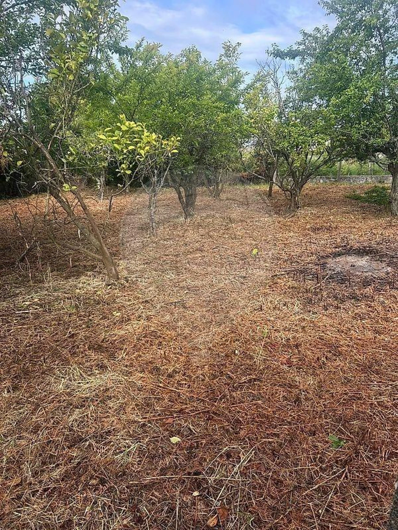 Moradia T2 para Venda em Grijó e Sermonde Foto 4