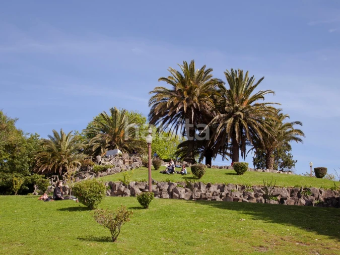 Apartamento T1 para Venda em Santa Marinha e São Pedro da Afurada Foto 15