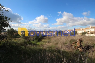 Terreno para Venda em Guia