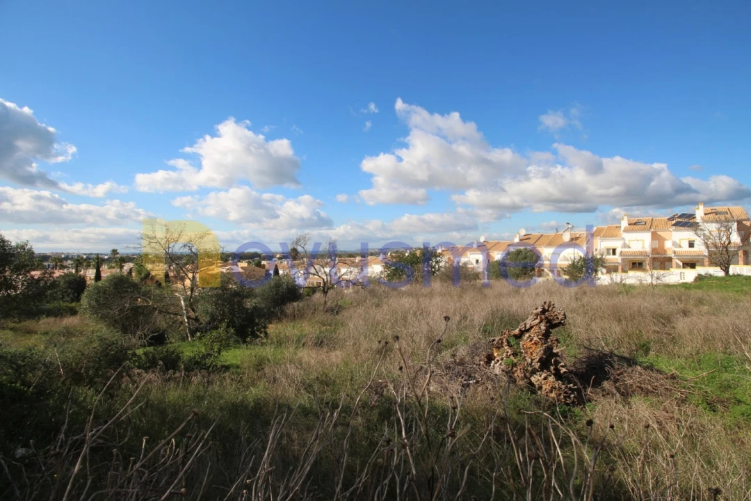 Terreno para Venda em Guia Foto 6