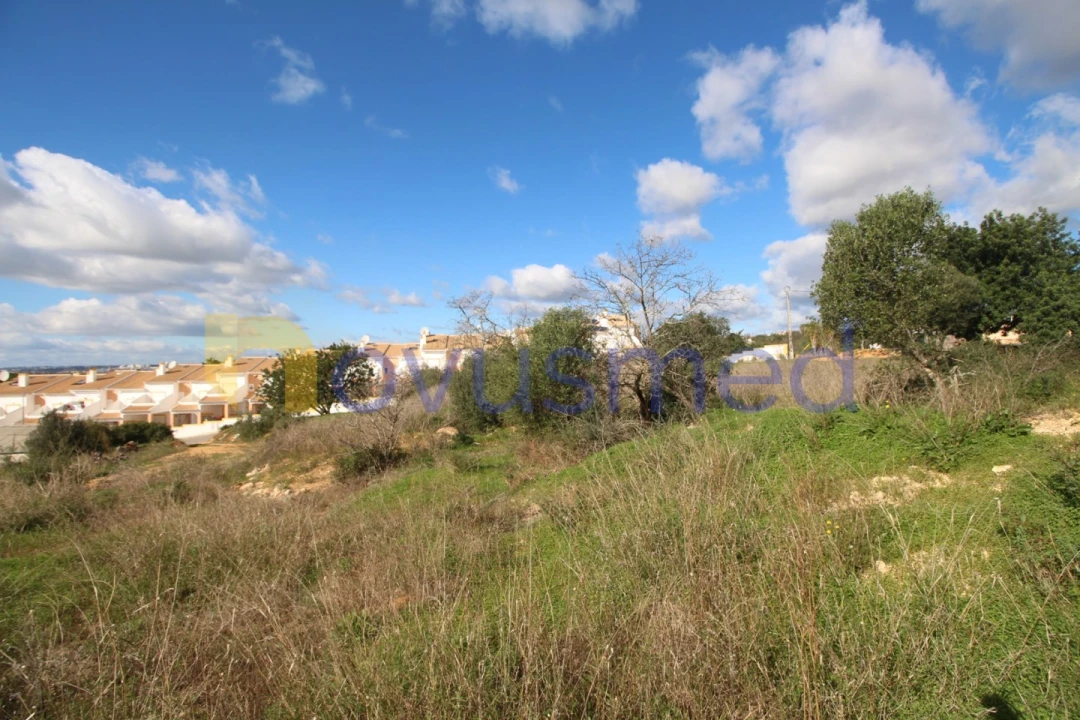 Terreno para Venda em Guia Foto 14