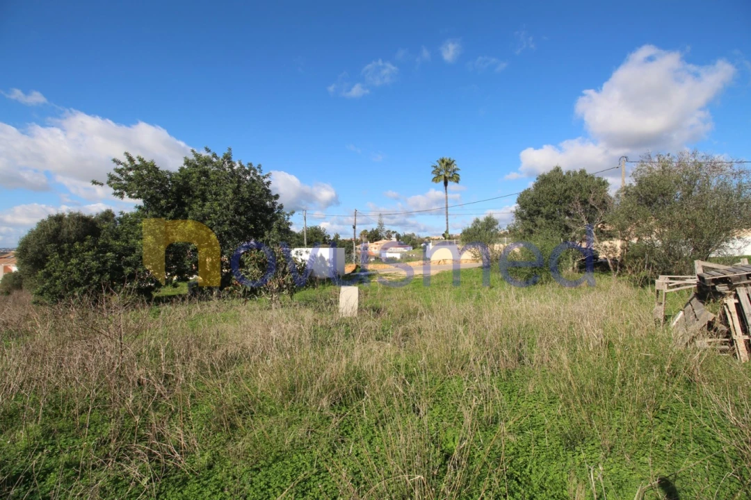Terreno para Venda em Guia Foto 16
