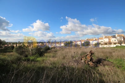 Terreno para Venda em Guia