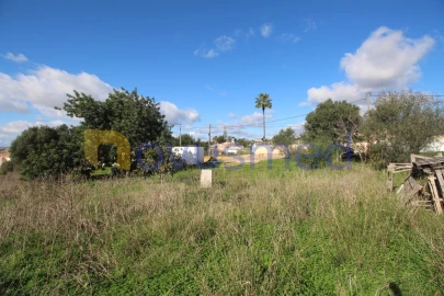 Terreno para Venda em Guia