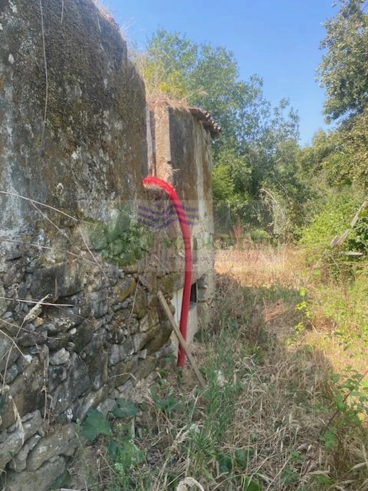 Moradia para Venda em Cedrim e Paradela Foto 3