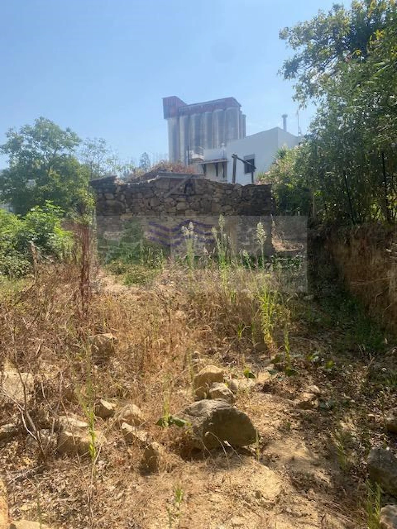 Moradia para Venda em Cedrim e Paradela Foto 4