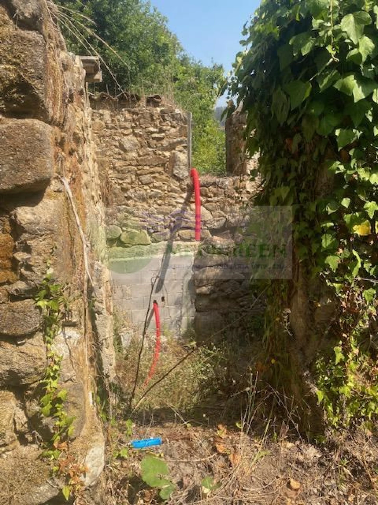 Moradia para Venda em Cedrim e Paradela Foto 7