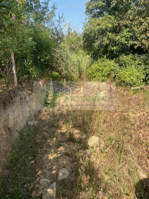 Moradia para Venda em Cedrim e Paradela