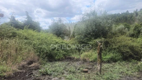 Quinta T9 para Venda em Areias e Pias