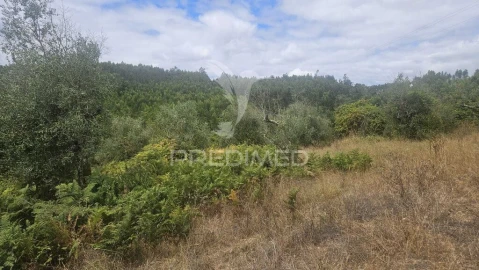 Quinta T9 para Venda em Areias e Pias