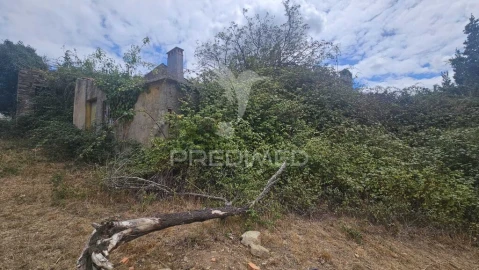 Quinta T9 para Venda em Areias e Pias