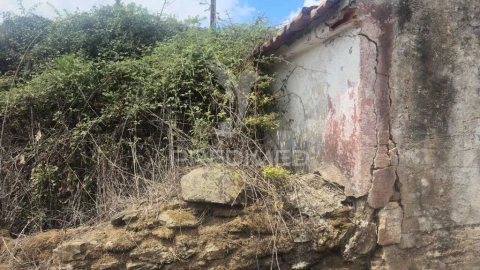 Quinta T9 para Venda em Areias e Pias