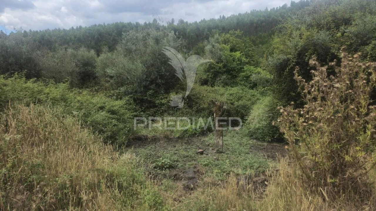 Quinta T9 para Venda em Areias e Pias Foto 14