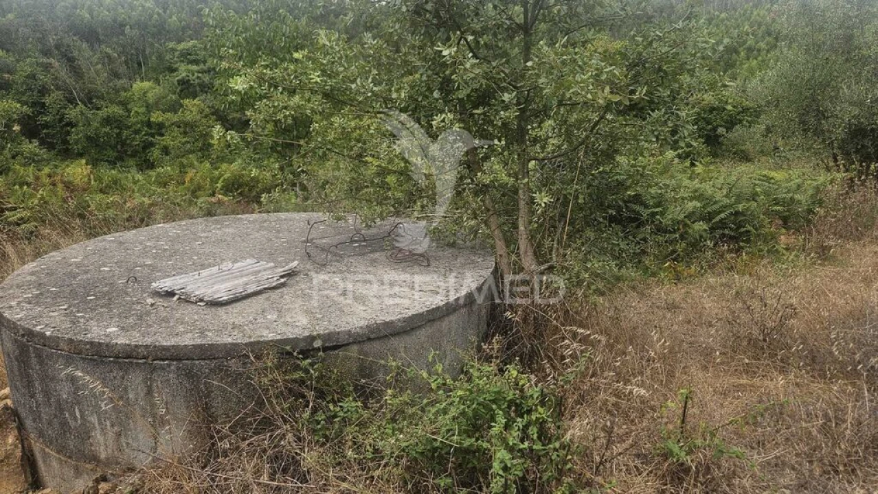 Quinta T9 para Venda em Areias e Pias Foto 6