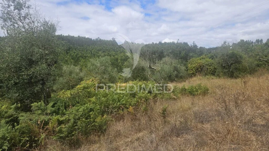 Quinta T9 para Venda em Areias e Pias Foto 10