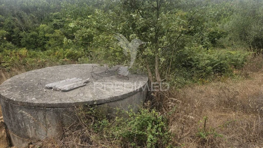 Quinta T9 para Venda em Areias e Pias Foto 6