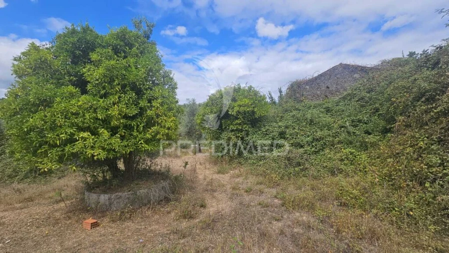 Quinta T9 para Venda em Areias e Pias Foto 16