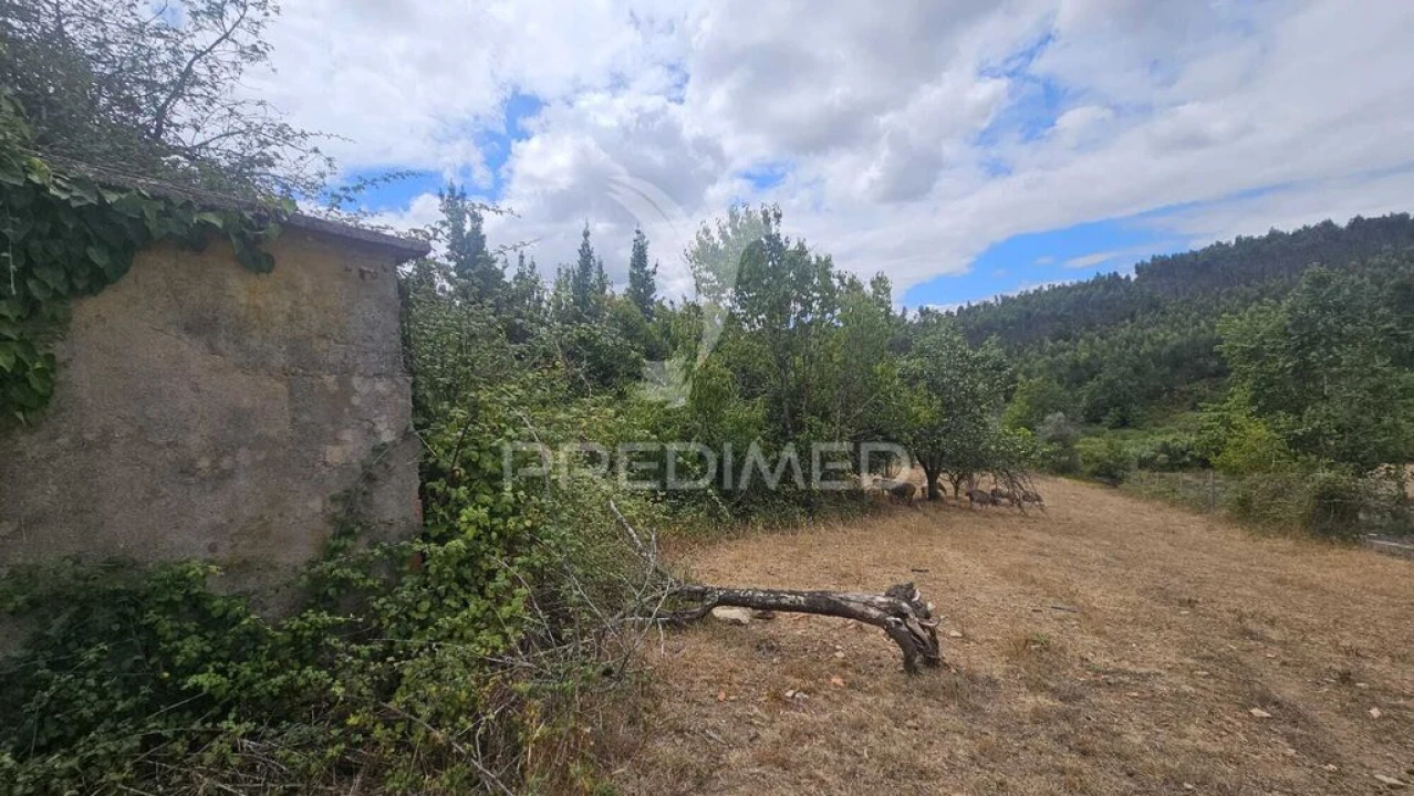 Quinta T9 para Venda em Areias e Pias Foto 4