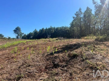 Terreno para Venda em Antas
