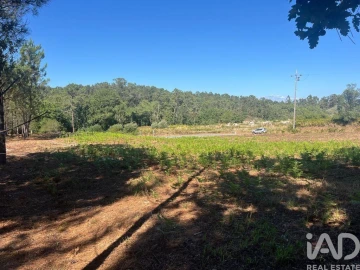 Terreno para Venda em Antas
