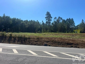 Terreno para Venda em Antas