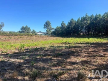 Terreno para Venda em Antas