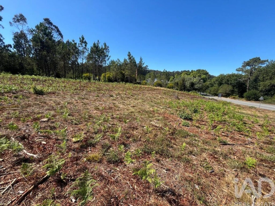 Terreno para Venda em Antas Foto 3