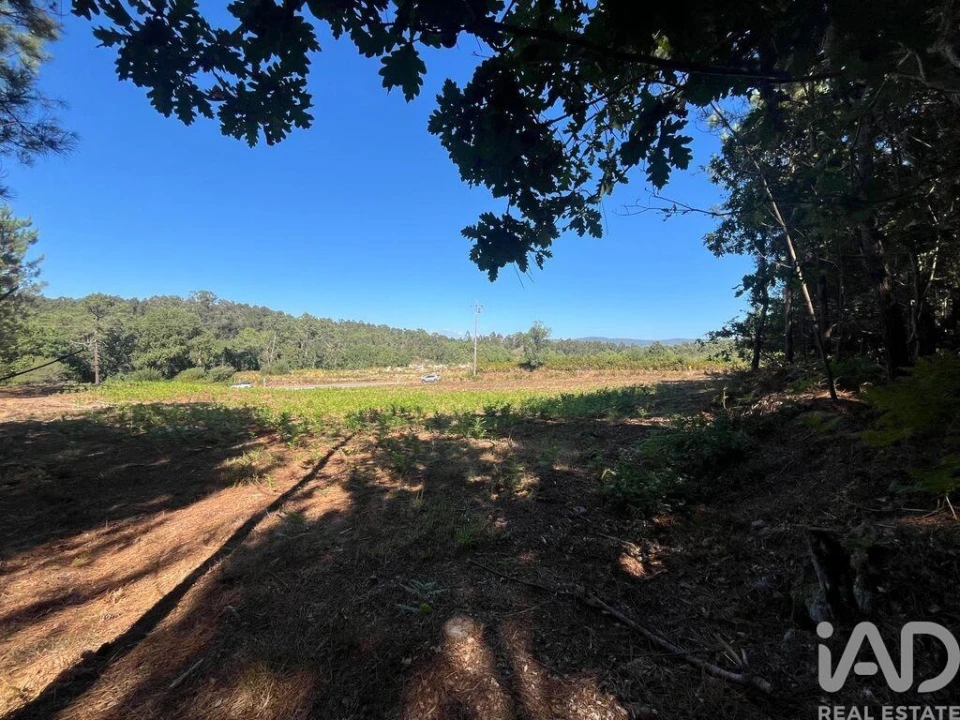 Terreno para Venda em Antas Foto 8