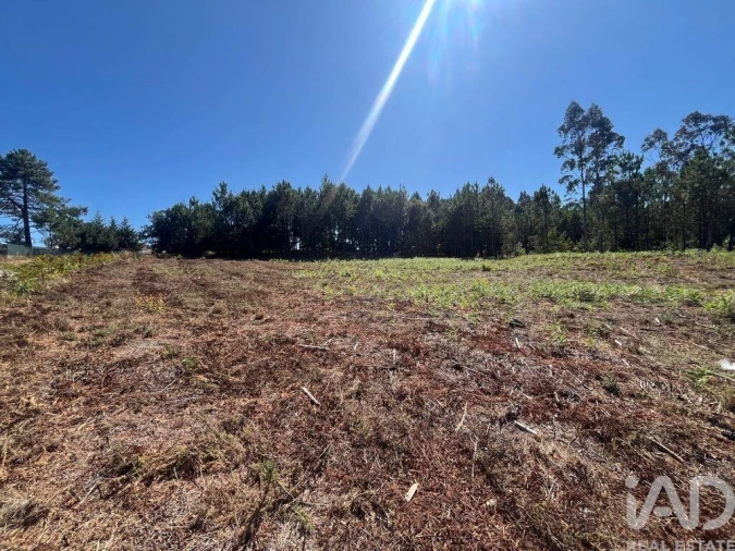 Terreno para Venda em Antas Foto 2