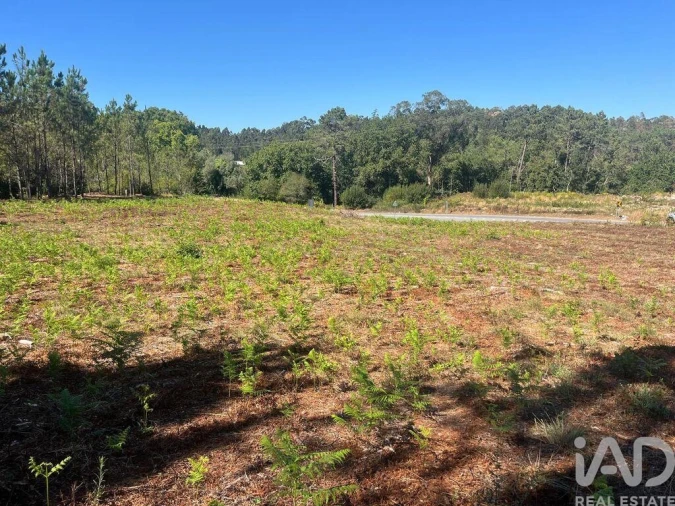 Terreno para Venda em Antas Foto 4