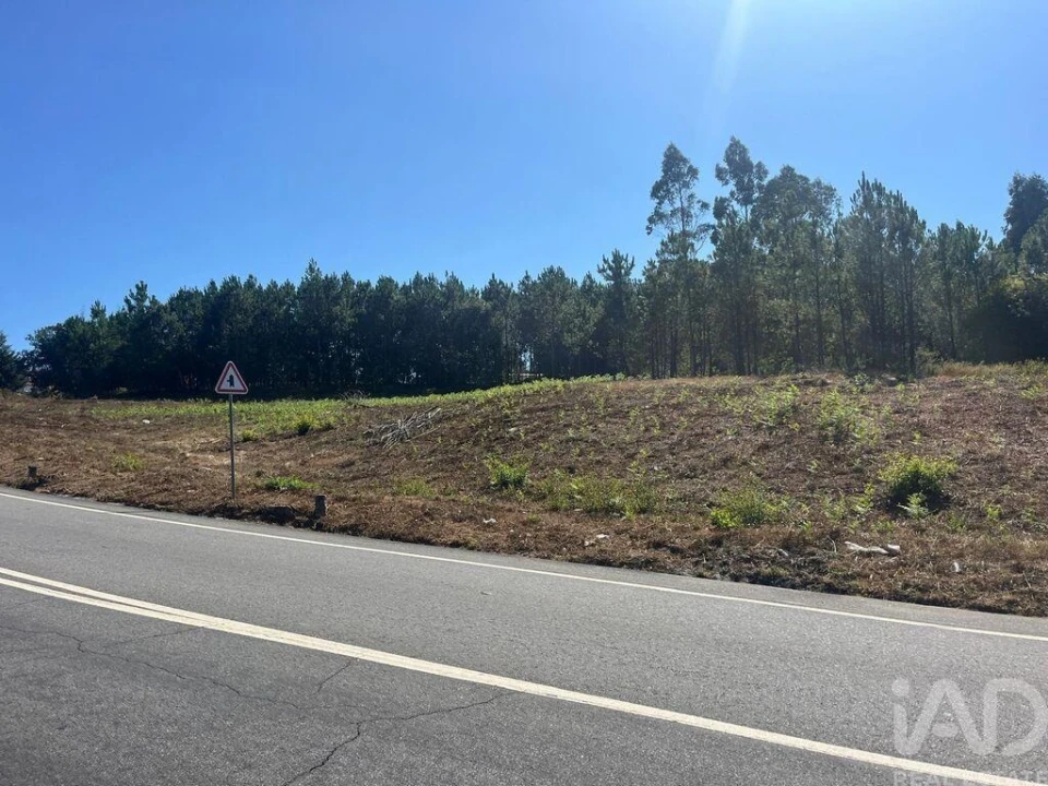 Terreno para Venda em Antas Foto 9