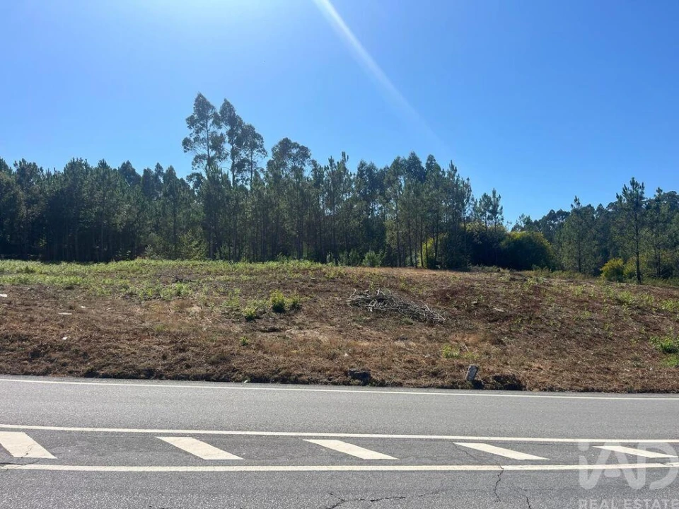 Terreno para Venda em Antas Foto 10
