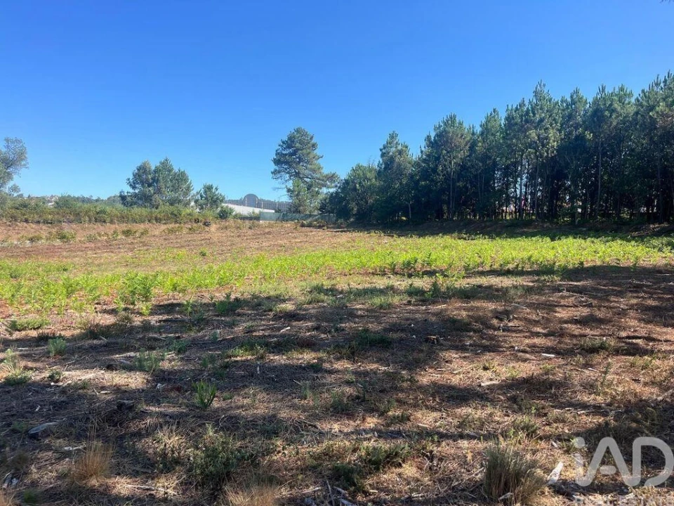 Terreno para Venda em Antas Foto 6