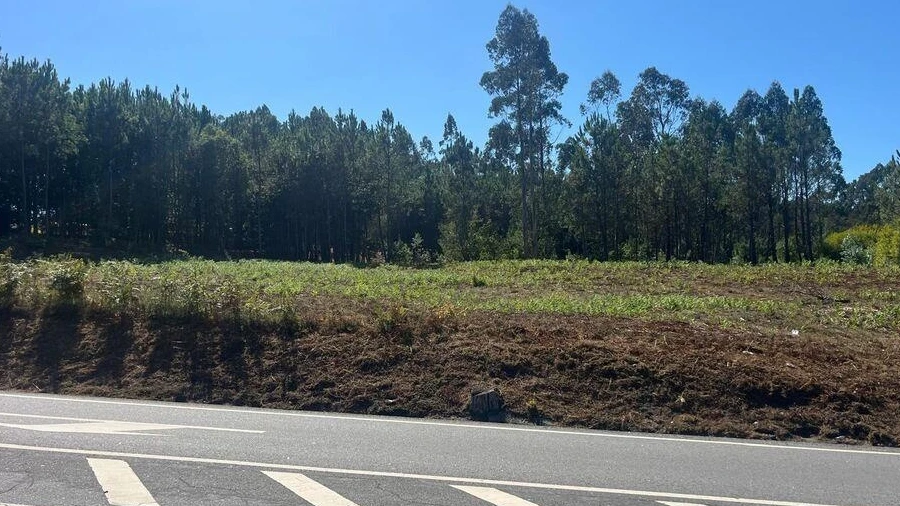 Terreno para Venda em Antas