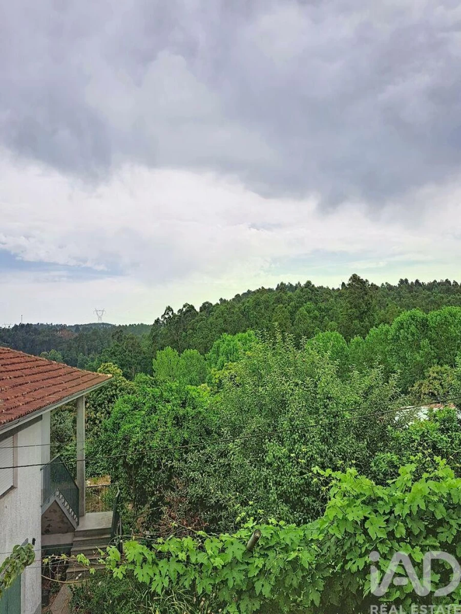 Moradia T4 para Venda em Canedo, Vale e Vila Maior Foto 18